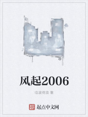 風起2006封面